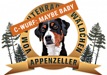 Appenzeller-vLiraW_Logo_C-Wurf_Mayby-baby_632x460px